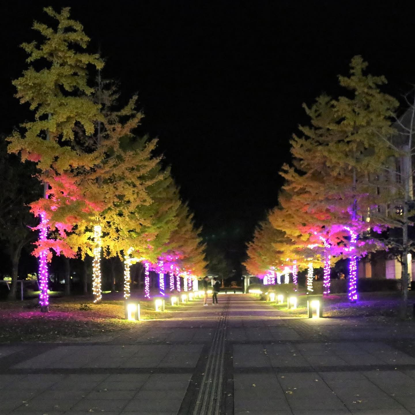 KUT Kami Campus at Night