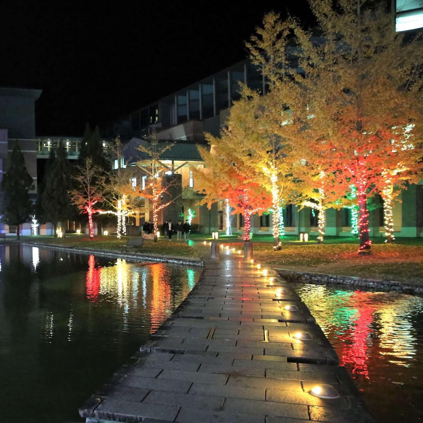 KUT Kami Campus at Night