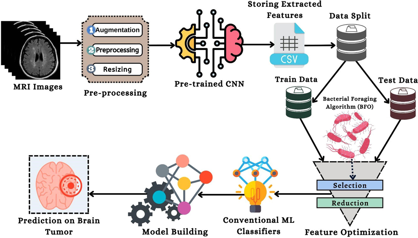 Bacterial Foraging Optimization-boosted convolutional neural network for brain tumor detection using MRI images