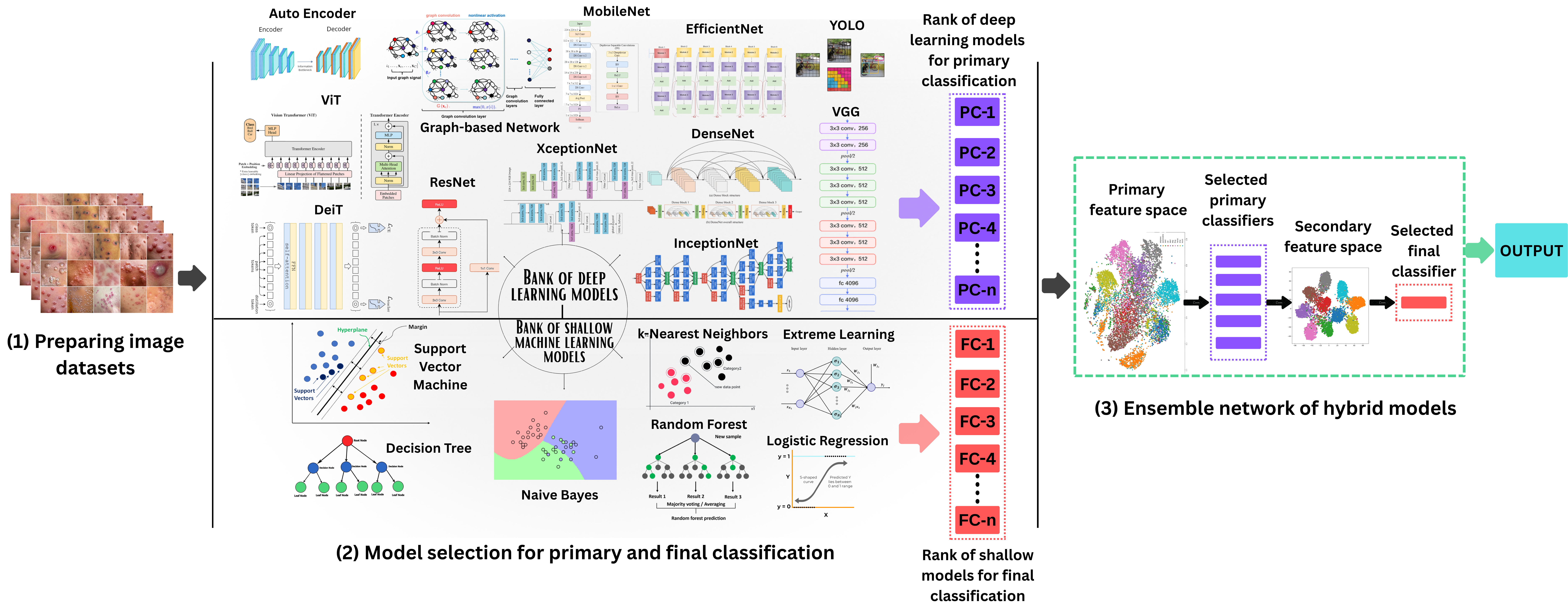 From survey to solution: A deep learning framework for reliable monkeypox diagnosis using skin images