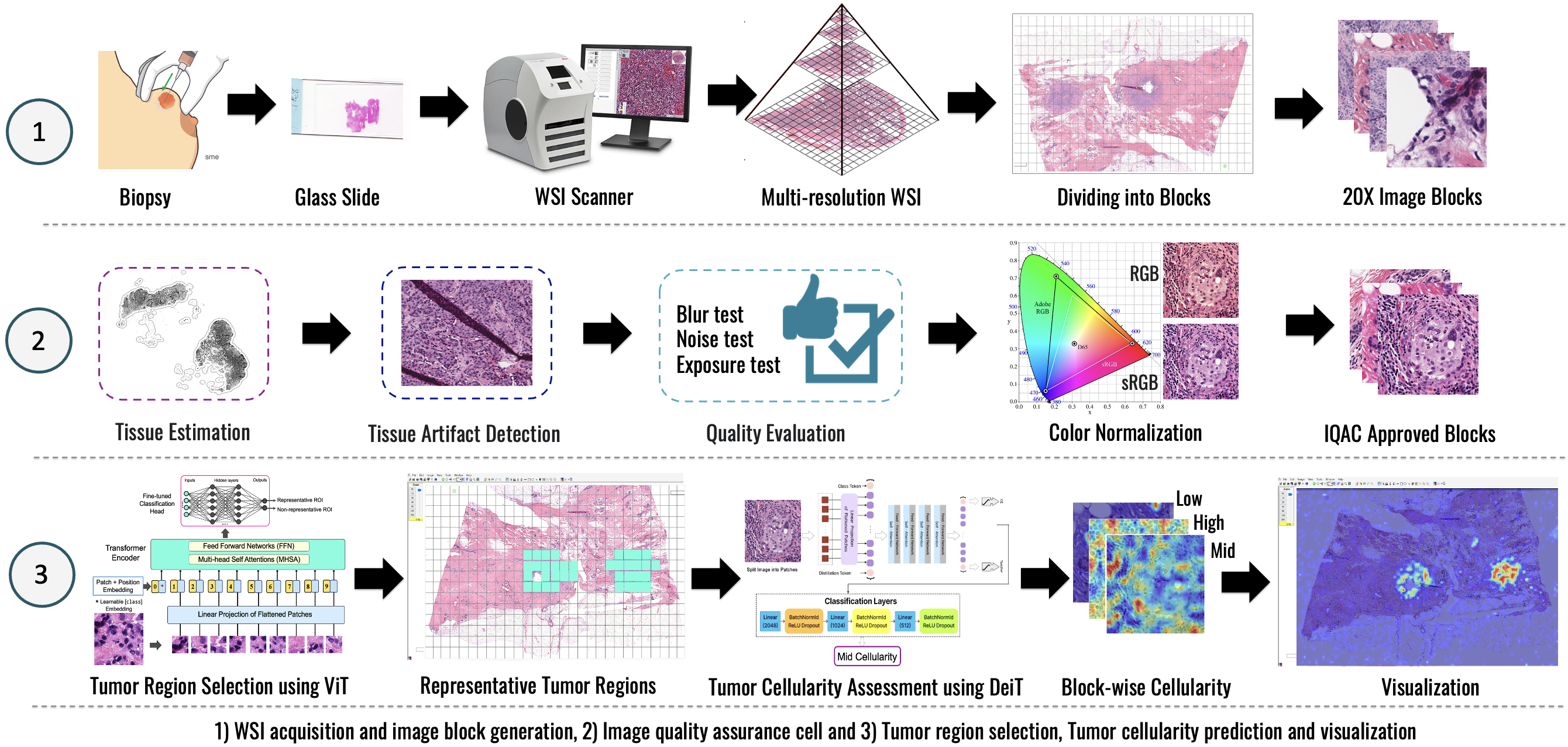 Quality Evaluation for AI-assisted Medical Image Analysis