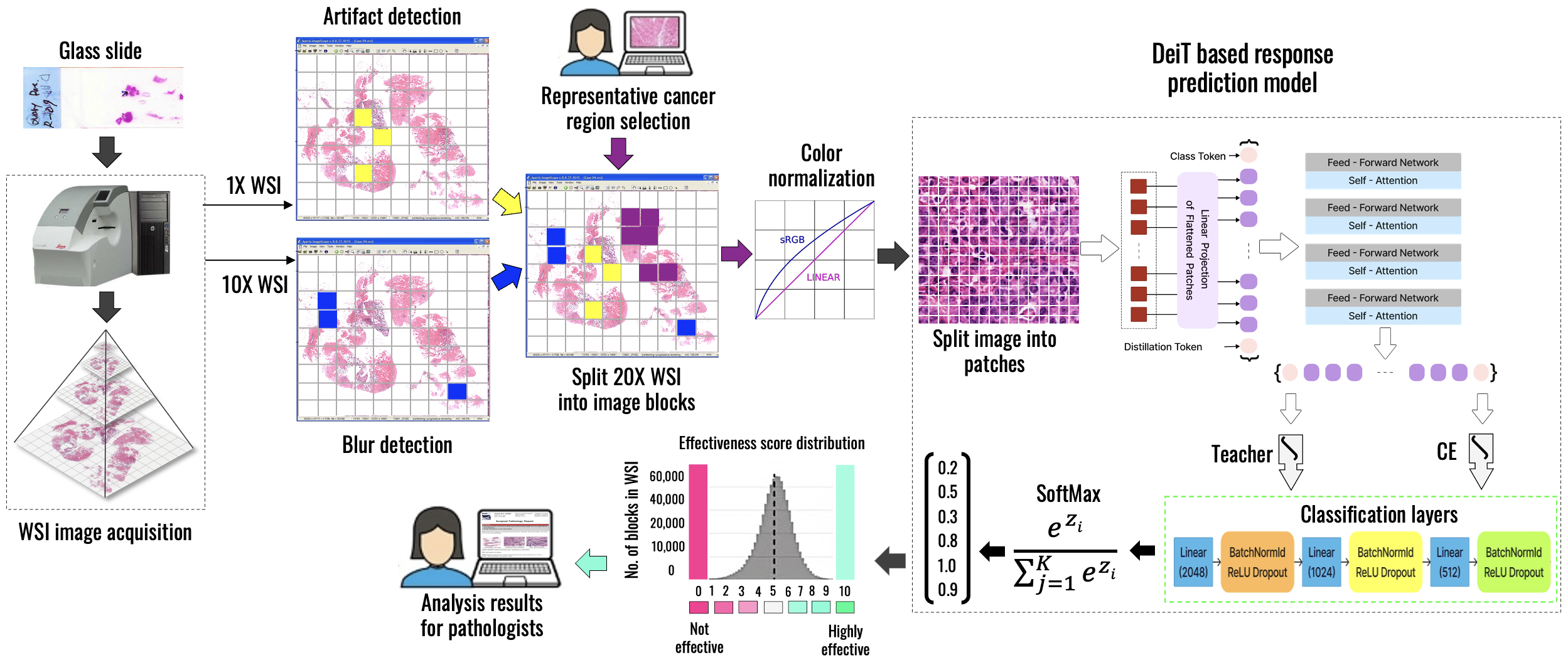 AI-guided Solution for Selecting Ovarian Cancer Patients for Bevacizumab Monoclonal Therapy